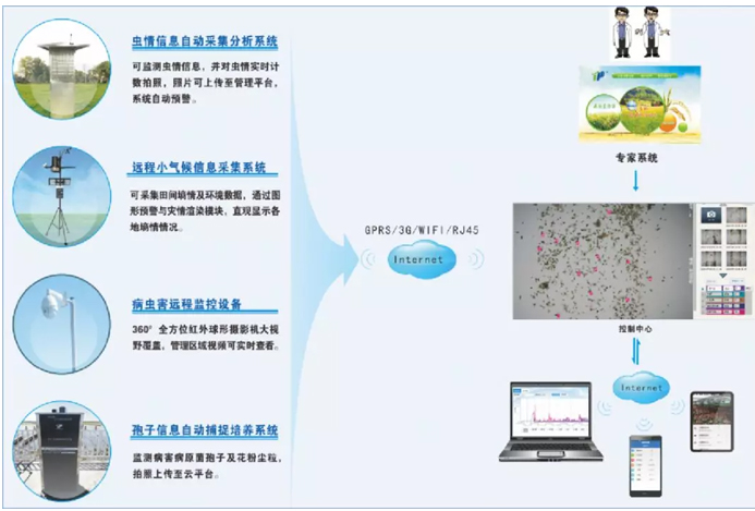 智慧養(yǎng)護(hù)解決方案